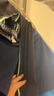 维多利亚旅行者儿童速干衣运动紧身套装春夏羽毛球服篮球足球训练服跑步健身衣 实拍图