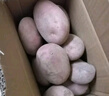 【真便宜】云南红皮土豆高原黄心土豆云南土豆新鲜红皮黄心洋芋 云南红皮土豆 2斤 单果1-3两 实拍图