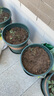 墨斗鱼花盆加仑盆加厚高款5加仑*2种菜盆大号盆栽树脂塑料简约带托盘 实拍图