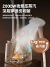 美的（Midea）【10档熨烫机】立式挂烫机家用高端大蒸汽电熨斗/便携手持熨衣服神器/小型服装店礼物母亲节YY2000 实拍图