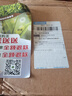 茶函茉莉花茶毛尖2025新茶散装500g广西茉莉花茶叶绿茶散装浓香型  茉莉毛尖 实拍图