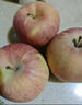 阿克苏苹果新疆阿克苏冰糖心苹果 时令苹果水果 丑苹果红富士 一级果单果约75-90mm净重4.5-5斤 实拍图
