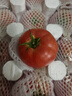 古寨山普罗旺斯西红柿沙瓤生吃番茄新鲜蔬菜 净重4.5斤 实拍图