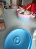 优可倍宝宝辅食保温碗婴儿专用碗316防摔防烫儿童餐具恒温幼儿注水保温 【升级款感温+带吸盘】棕色 实拍图
