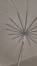 天玮伞业（Tianwei umbrella）16骨透明伞纤维骨抗风自动纯色POE伞简约纯色便捷长柄伞非定制 实拍图