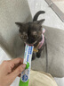 奥丁猫条 成猫幼猫鲜肉猫零食益鲜条猫条湿粮 混合口味12g*10支 实拍图