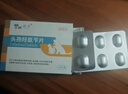 芸灵宠物消炎药狗狗猫咪泌尿感染呼吸肠胃皮肤病外伤头孢羟氨苄12片 实拍图