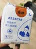 蓝中蓝蓝光黄疸灯新生婴儿蓝光灯黄疸蓝光箱机仪器毯租赁非医家用照黄疸 防蓝光纸尿裤1包5片 实拍图