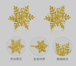中国黄金（CHINA GOLD）【小雪花】黄金耳钉女士小众首饰足金耳饰生日礼物七夕送老婆女友 京速达-雪花耳钉【一对】+品牌礼盒 约0.7g 实拍图