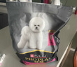 冠能狗粮小型犬成犬狗粮2.5kg 挑食美毛亮眼 全价狗粮  实拍图