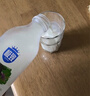 三元 极致有机鲜牛奶240ml*6瓶 巴氏杀菌 定期购 3.8g蛋白质 实拍图