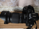 尼康（Nikon）Z5全画幅微单相机 微单套机 （ Z 24-200mm f/4-6.3 VR 微单镜头）Vlog相机 实拍图