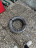 邓禄普（DUNLOP）轮胎/汽车轮胎 195/60R16 89H ENASAVE EC300+ 原厂配套新轩逸 实拍图
