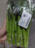 宁夏菜心约250g 实拍图