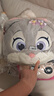 名创优品（MINISO）迪士尼疯狂动物城系列朱迪春日抱枕玩具毛绒公仔办公室客厅靠枕 实拍图