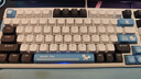 VGN 【新品首发】V98Pro V3 有线/蓝牙/无线三模客制化机械键盘10000mAh电池gasket结构 电竞游戏办公 全新升级 V98Pro V3 极地狐轴 极地限定款 实拍图