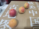 京世泽【顺丰空运/新疆直发】新疆小红杏 吊干杏 时令水果礼盒 精品果净重2斤彩箱【顺丰空运】 实拍图