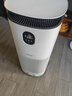 东芝（TOSHIBA）宠物空气净化器猫用除醛除臭狗用大白梨PET大风量吸浮毛除过敏原等离子消毒杀菌异味【国家补贴】 实拍图