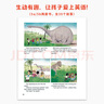 【官方独家】典范英语5a5b 英文原版绘本 小学英语分级阅读 4-12岁 可点读 弘书阁原版引进 搭苏斯博士戴帽子的猫 穿袜子的狐狸 猎熊 小猪佩奇 实拍图