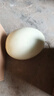 玉菇甜瓜冰淇淋现摘正宗新鲜水果整箱当季水果香瓜冰淇淋 【超值装】 3斤(净重2.7斤) 晒单实拍图