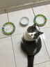 麦富迪猫罐头 拌食吞拿鱼鲭鱼味170g*24 成猫幼猫宠物猫零食湿粮 实拍图