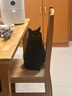 红狗【升级PRO】鱼油美毛营养膏120g 猫咪鱼油猫咪狗狗鱼油狗狗虾青素 实拍图