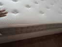 龙凤床垫国家补贴家用乳胶独立弹簧席梦思1.8x2米记忆棉环保椰棕护脊床垫 净享B型23cm：正面硬 1500*1900 实拍图