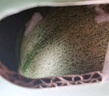 京鲜生 新疆哈密瓜/西州蜜 4粒 净重10斤起 单果2.5斤起 生鲜水果礼盒 实拍图