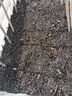 德沃多肥料蔬菜专用营养土50L园艺种菜土壤盆栽果蔬养花土种植土有机基质土 实拍图