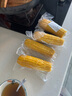 新鲜黄糯玉米真空包装速食玉米低脂粗粮代餐杂粮早餐包邮京东快递 福利专项 4棒 （180g-220g/棒） 实拍图