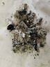 俞兆林 艾条艾灸柱 162粒陈年艾草纯艾灸热敷艾绒条柱棒全身用薰香 实拍图