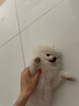 MAG狗狗鲨鱼软骨素400g/贩量装 关节宝泰迪犬用宠物狗狗关节卵磷脂 实拍图