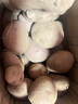 【真便宜】云南红皮土豆高原黄心土豆云南土豆新鲜红皮黄心洋芋 云南红皮土豆 5斤 单果1-3两 实拍图