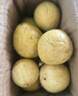 黄金钦蜜九号百香果 甜口 皱皮更甜不影响食用发货带青色 10个小果单果30-45g 黄金钦蜜九号百香果 实拍图