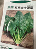 北蔬 大叶菠菜种子种苗红根秋四季蔬菜种籽 卓脆红根大叶菠菜种子10g 实拍图