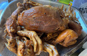 鲜京采甄选 原切带芯后腱 4斤 卤牛腱子肉 炖煮健身食材  京东自有品牌 实拍图