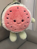 熊猫熊毛绒玩具西瓜水果玩偶跑跑西瓜公仔抱枕布娃娃生日礼物送男女生 实拍图