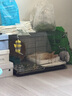 朗缤 兔子活体宠物兔活体新西兰肉兔公主兔小白荷兰侏儒活物兔子宠物 黄色公主兔1只 实拍图