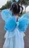 TaTanice蝴蝶翅膀背饰儿童发光玩具仙女魔法棒头饰服装装扮女孩生日礼物 实拍图