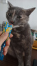 力狼 猫条猫零食 成幼猫通用宠物猫咪零食猫湿粮 鲜肉混合口味猫条15g*10支 实拍图