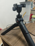 PGYTECH螳螂相机三脚架单反手机自拍照支架桌面云台蒲公英脚架vlog直播摄影支架便携手持支架2.0遥控套装 实拍图