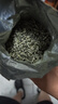 乐品乐茶头采芽特级碧螺春绿茶2025新茶明前嫩芽茶叶礼盒送领导送长辈250g 实拍图
