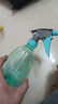 喷壶浇花浇水喷雾器气压式喷水壶家用园艺养花500ml 南瓜喷壶透粉【1个装】 实拍图