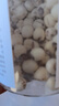 方家铺子中华老字号 六星莲子 湘潭磨皮通芯白莲子250g/罐 去芯百合银耳羹 实拍图