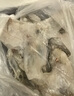 虾有虾途国产青岛大虾白虾青虾基围虾鲜虾冷冻生鲜虾类鲜活特大海捕整箱装 14-16厘米 3斤(净重) 实拍图