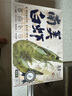 万景北海鲜冻国产白虾巨无霸 单冻无冰净重3斤/盒 30-45只  烧烤海鲜 实拍图