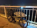 大行（DAHON）经典P8折叠自行车成人20英寸8速男女式通勤运动单车KBC083 消光灰【高配版】 实拍图