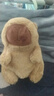 卡皮巴拉毛绒玩具公仔儿童生日礼物女孩情人节礼物水豚毛绒玩偶 卡皮巴拉公仔 2个装（新人专享） 实拍图