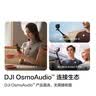 大疆 DJI Mic Mini 迷你无线高品音质 降噪领夹麦克风 户外采访直播vlog手机相机原声级纽扣式收音麦 【相机+手机可用】一拖一 含Lightning转接头【适配安卓+苹果全系列】 实拍图