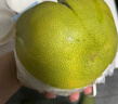 正宗泰国青柚青皮白心蜜柚孕妇新鲜水果当季整箱快递随机甜青柚 【1粒】泰国青柚单果2.4-3斤 实拍图